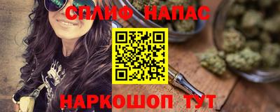 Альфа ПВП Будённовск