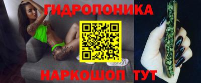 Альфа ПВП Будённовск