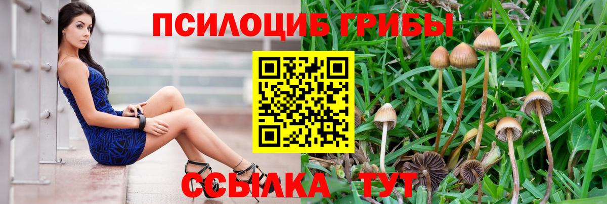 Псилоцибиновые грибы MAGIC MUSHROOMS Курчалой