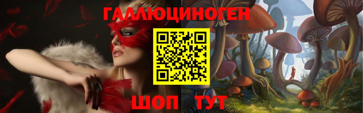 Псилоцибиновые грибы Magic Shrooms  Вход с VPN  купить наркотик  Курчалой 